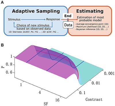 Bayesian Inference of Two-Dimensional Contrast Sensitivity Function from Data Obtained with Classical One-Dimensional Algorithms Is Efficient